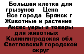 Большая клетка для грызунов  › Цена ­ 500 - Все города, Брянск г. Животные и растения » Аксесcуары и товары для животных   . Калининградская обл.,Светловский городской округ 